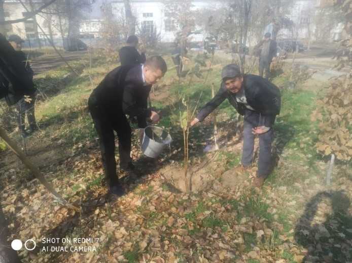 Institutda “Yashil makon” Umummilliy loyihasi doirasida amalga oshirilayotgan ishlar davom etmoqda