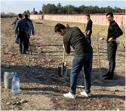 Within the framework of the national project" green space", the employees of the institute are continuing to plant seedlings of trees