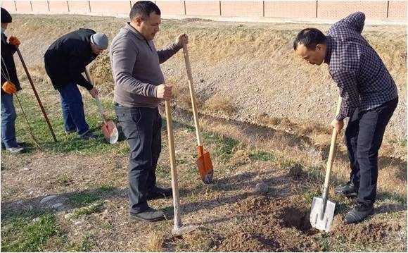 Within the framework of the national project" green space", the employees of the institute continued planting of tree seedling